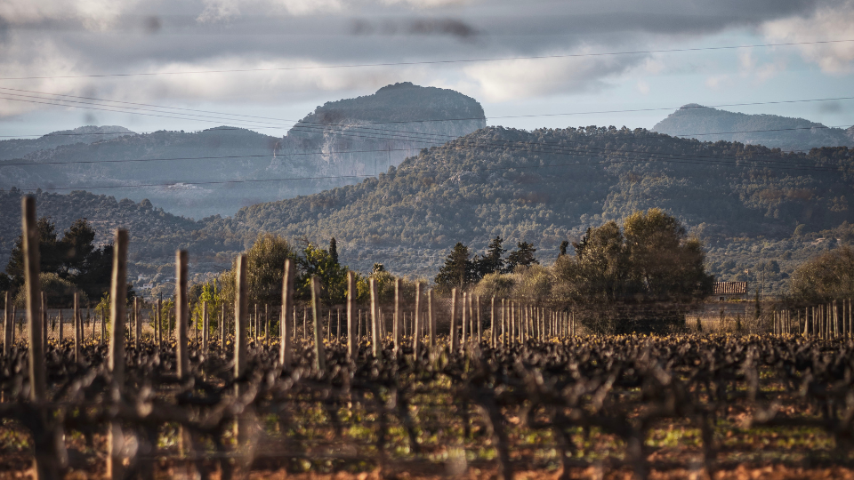 Entdecken Sie die majestätische Schönheit der Serra de Tramuntana in Mallorca
