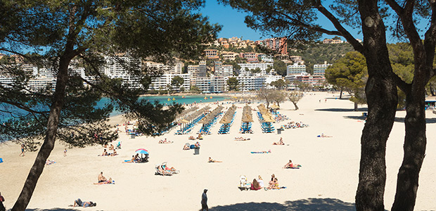 Erkunden Sie das bezaubernde Santa Ponsa auf Mallorca