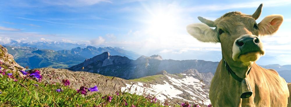 Kultur Schweiz: Vielfalt, Tradition und Moderne
